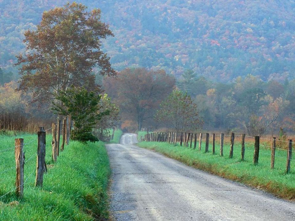 A gravel lane lined with fences in Cades Cove in the Great Smoky Mountains, with fall color on the hillsides